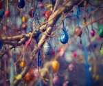 art-blur-branches-bright-210217