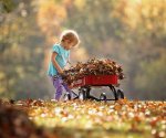 photography-of-child-pushing-the-wagon-1067191